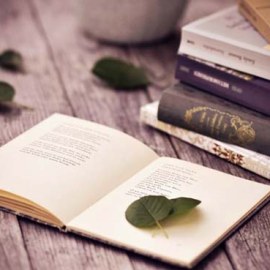 GDCD Lớp 12 Pháp luật với sự phát triển bền vững của đất nước