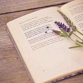 Giáo Dục Công Dân Lớp 12 Quyền bình đẳng giữa các dân tộc và tôn giáo