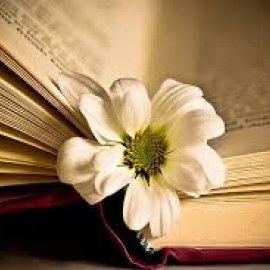 Đề KSCL THPT QG 2019 Hoá Học 12 Có Đáp Án