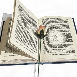 Vật Lý Lớp 10 Cơ sở nhiệt động lực học