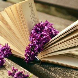 Hoá Học 11 - Hệ thống hóa về Hiđrocacbon