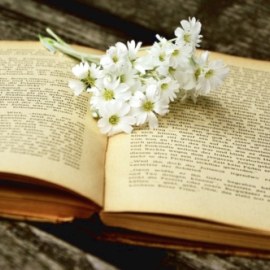 Đề thi Ngữ Văn lớp 11 - Đề số 7 - Có đáp án