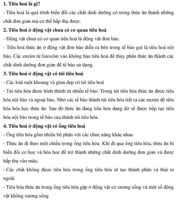 Đề thi HKI môn Sinh Học Lớp 11