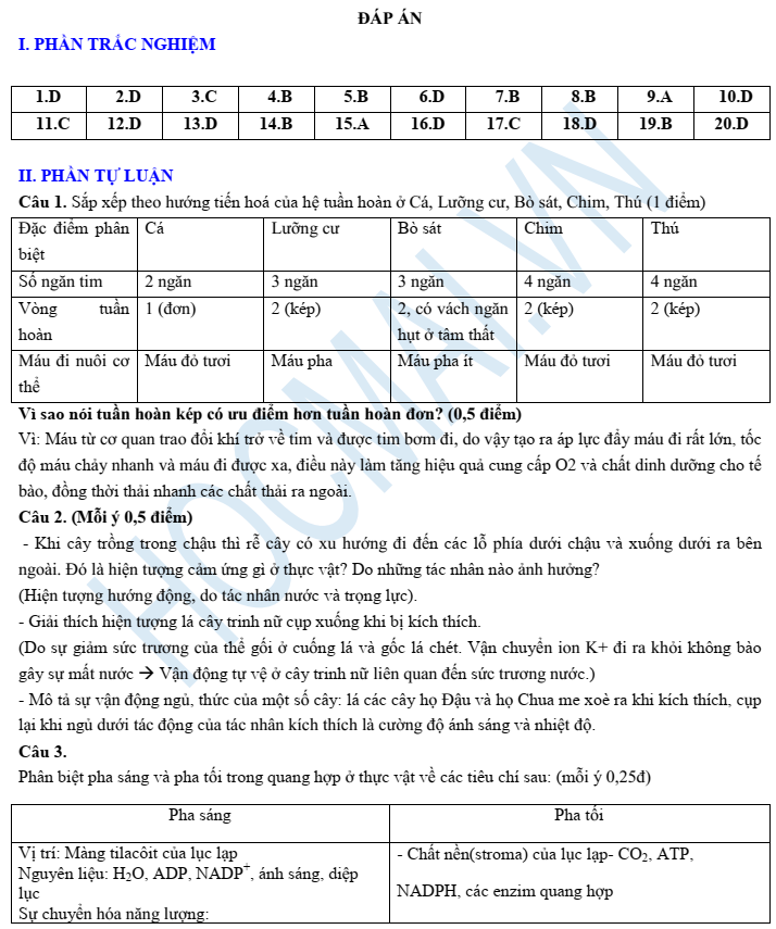 ĐÁP ÁN ĐỀ KIỂM TRA SINH HỌC LỚP 11 - ĐỀ 01