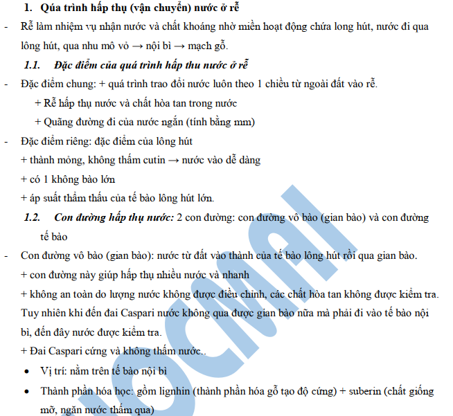 Sinh Học 11- Hấp thụ nước -Biến đổi nitơ trong cây