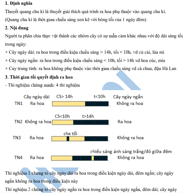 Sinh học 11 - Thuyết quang chu kì ở thực vật