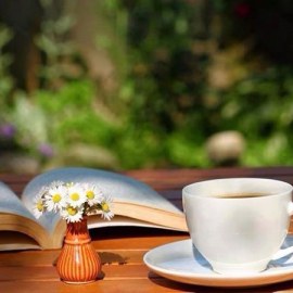 Đề KT chương 3 Đại số 11 - Đề 1