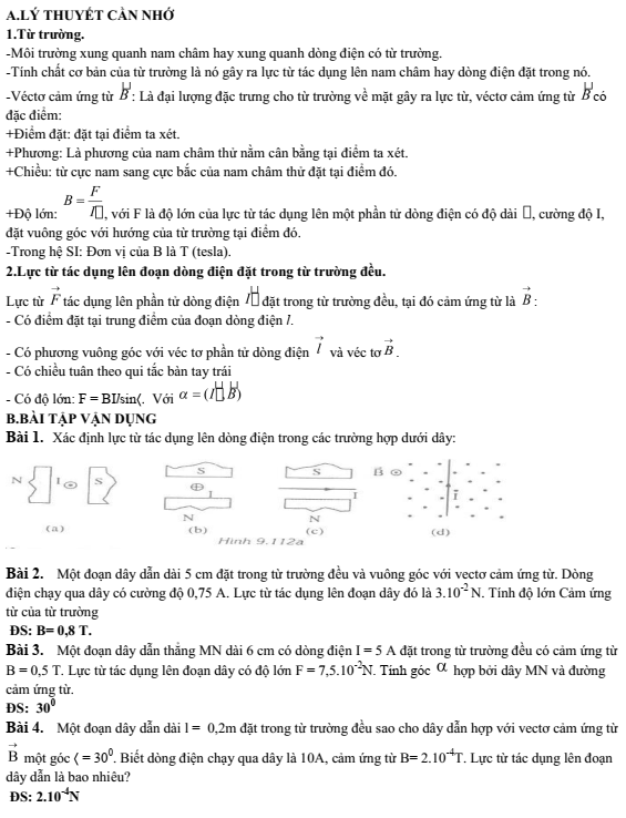 Vật Lý 11 - Đề cương dạy thêm chương 4 