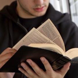 Lý thuyết hệ sinh thái sinh quyển - Sinh học lớp 12