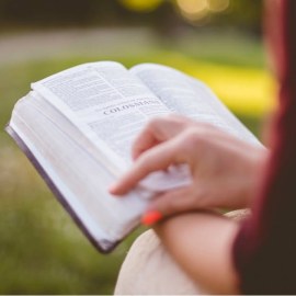 Lý thuyết sinh thái học quần thể - Sinh học lớp 12