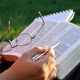 Lý thuyết sinh thái học quần xã - Sinh học lớp 12