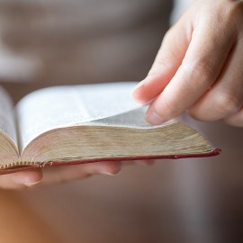 Tổng hợp câu hỏi chủ đề tiến hóa - Sinh học lớp 12