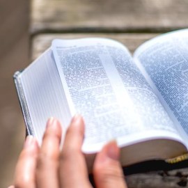 Tổng hợp toàn bộ công thức sinh học lớp 12